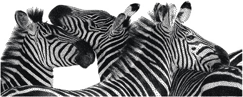 Stippling of zebras