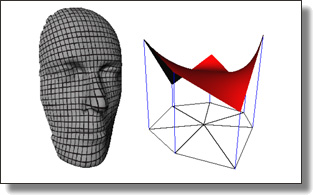 A generalization of barycentric coordinates can be used in parameterization or surface patches.